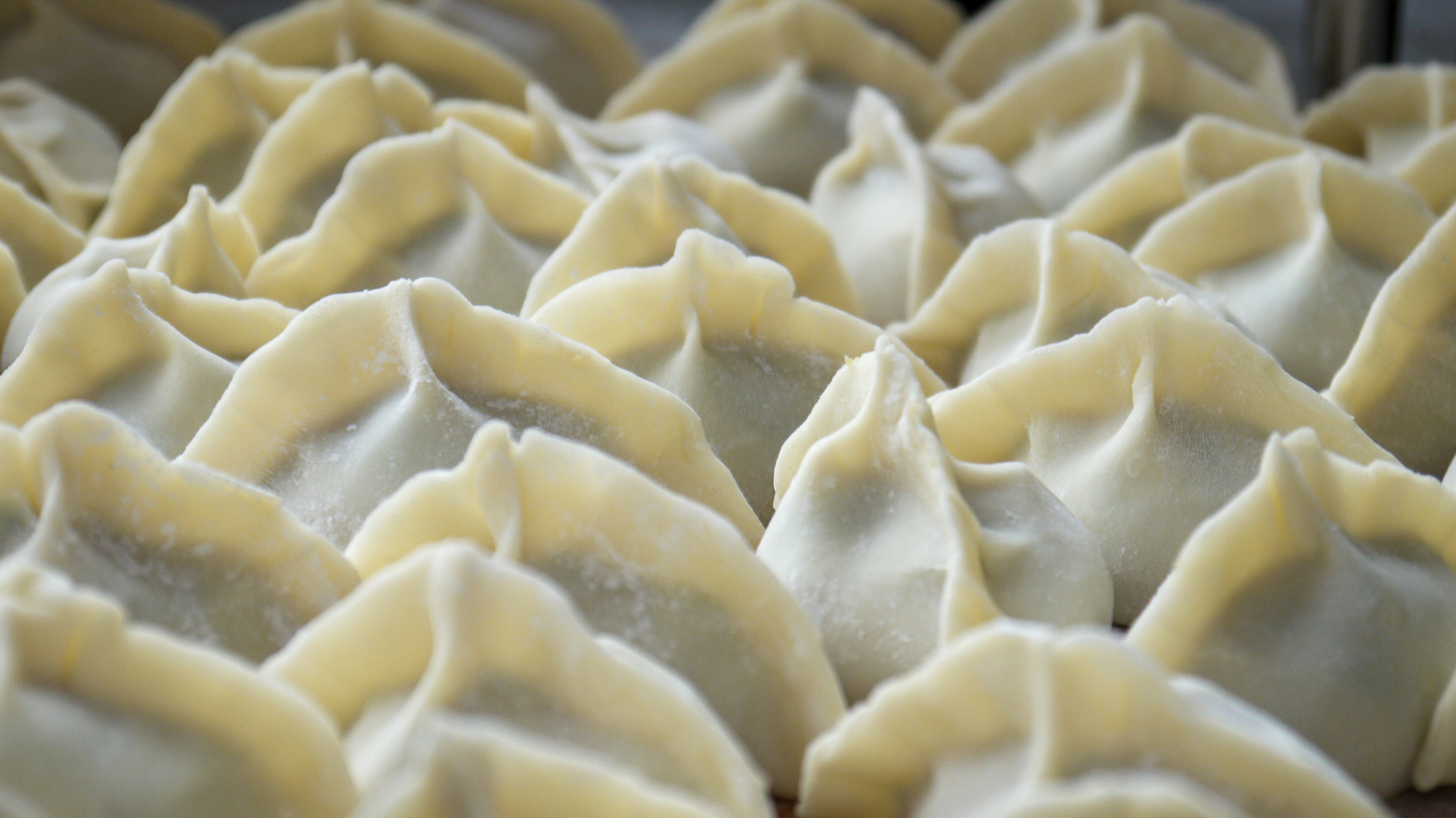picture of raw chinese pork dumplings